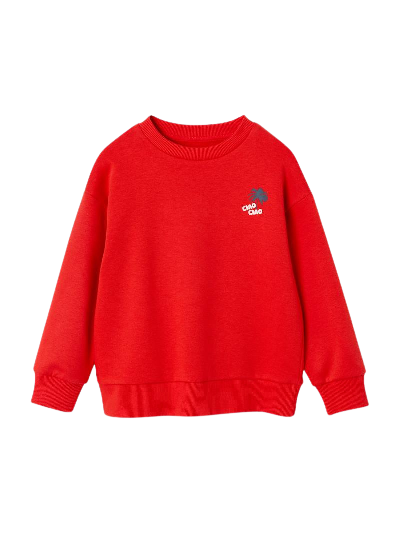 Jungen Sweatshirt mit Urlaubsmotiv hinten, Recycling-Polyester - rot